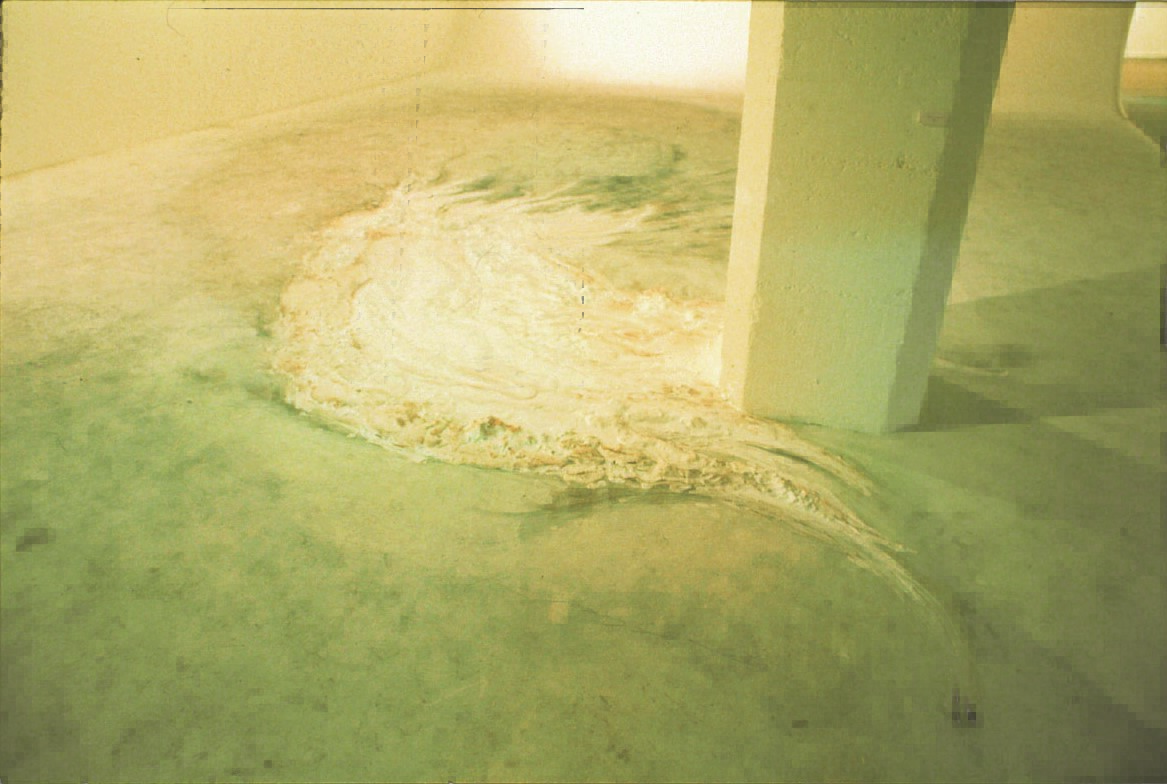 1996年 艾沢詳子 石膏ドローイングインスタレーション 作品画像
