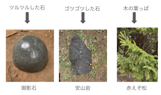 ツルツルした石→実際の彫刻の一部である御影石の写真があります。
ゴツゴツした石→実際の彫刻の一部である安山岩の写真があります。
木の葉っぱ→実際の彫刻の一部である赤えぞ松の写真があります。

