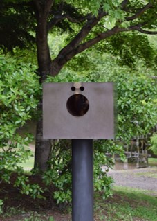 《のどちんことはなのあな》の写真です。
