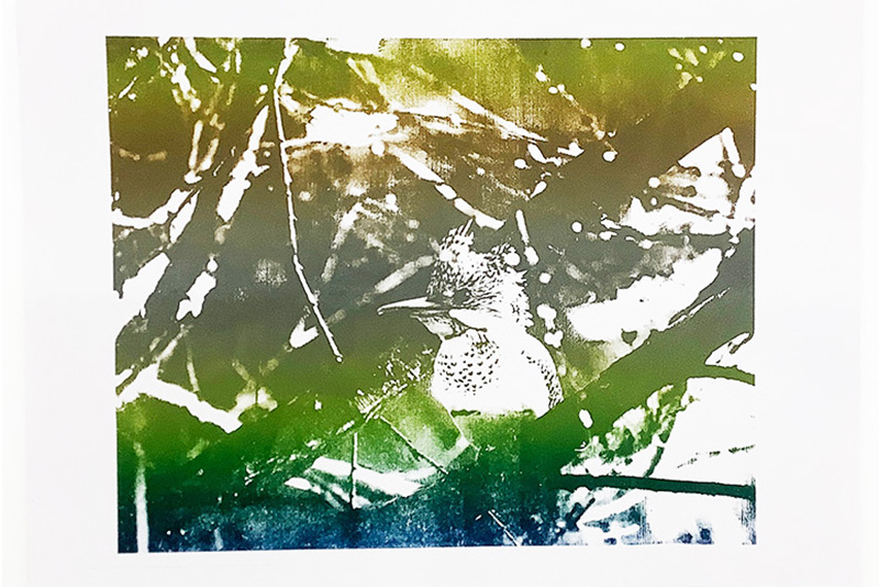 リトグラフでつくる写真製版 2日間コース