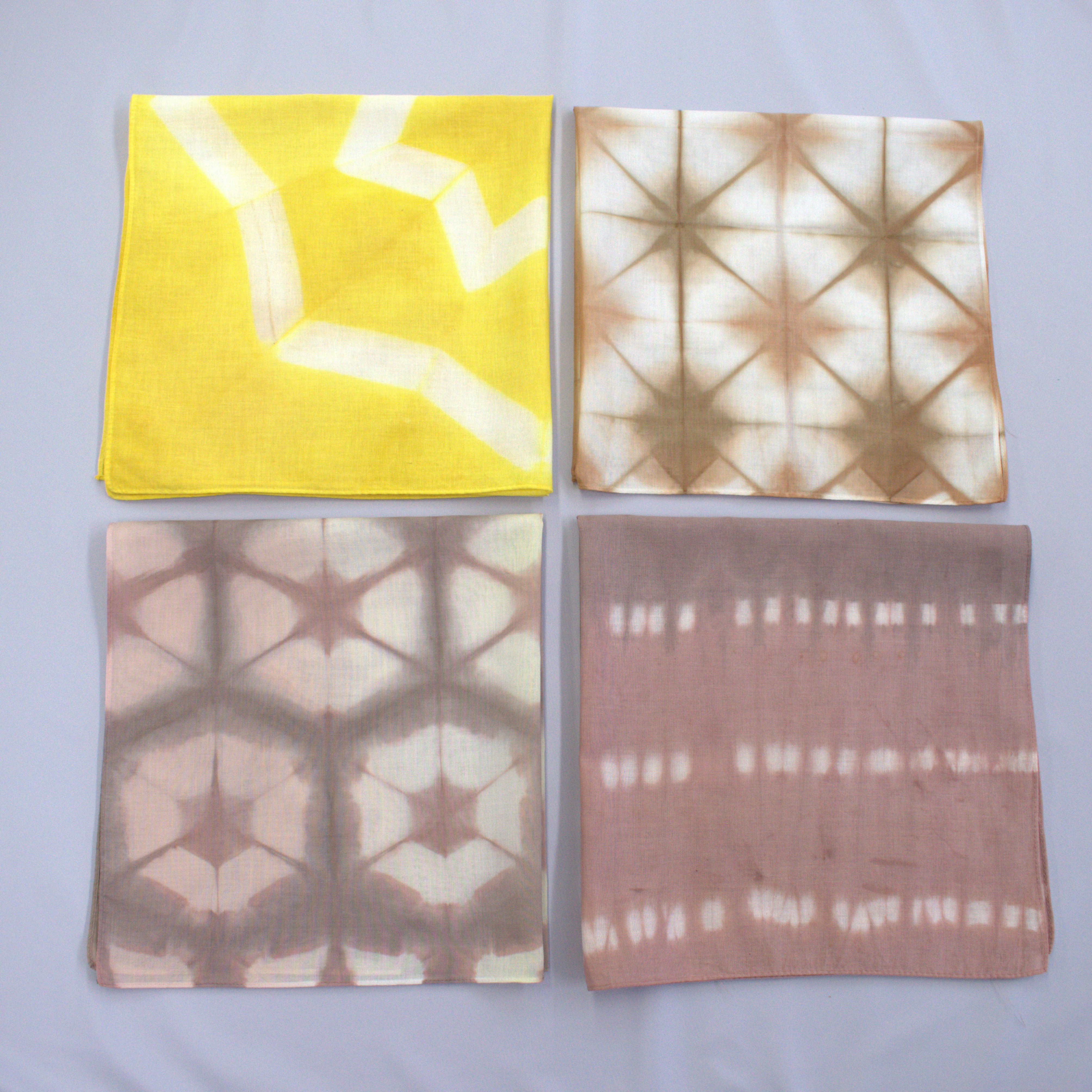 お家にある素材で染めてみよう(3月)