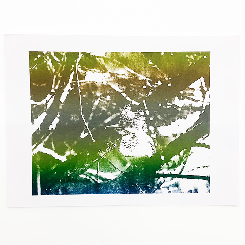 リトグラフでつくる写真製版 2日間コース