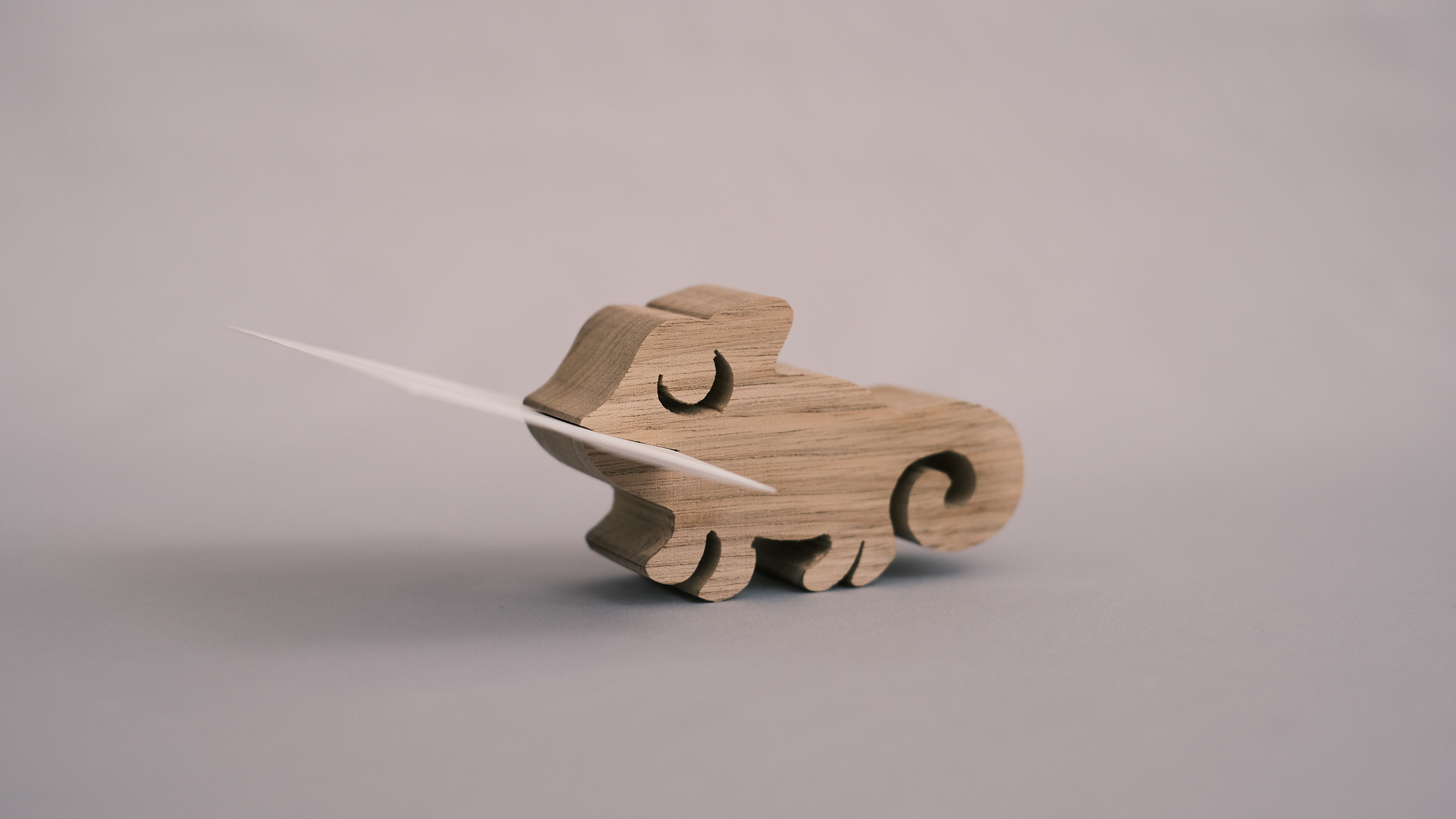 カメレオンのカードホルダーの作例